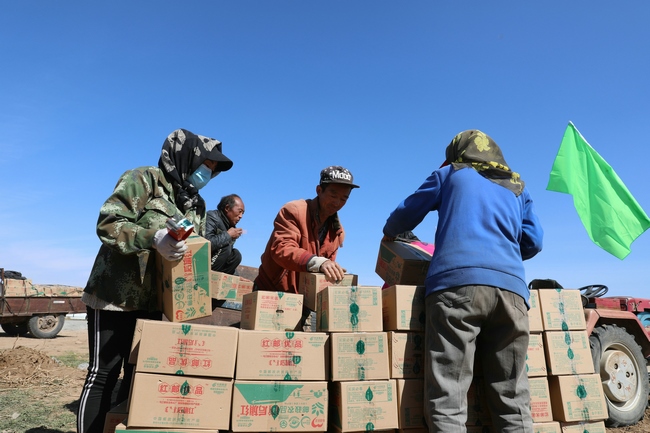 1600600657825833.jpg 7O5A5842.JPG