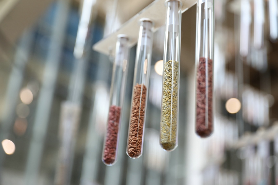 1615984569636906.jpg 7O5A4224.JPG