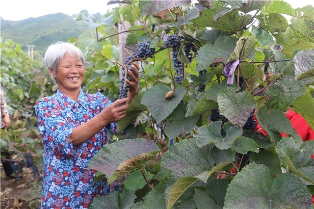 1656552339298210.jpg 00300572563_8f796fa0.jpg