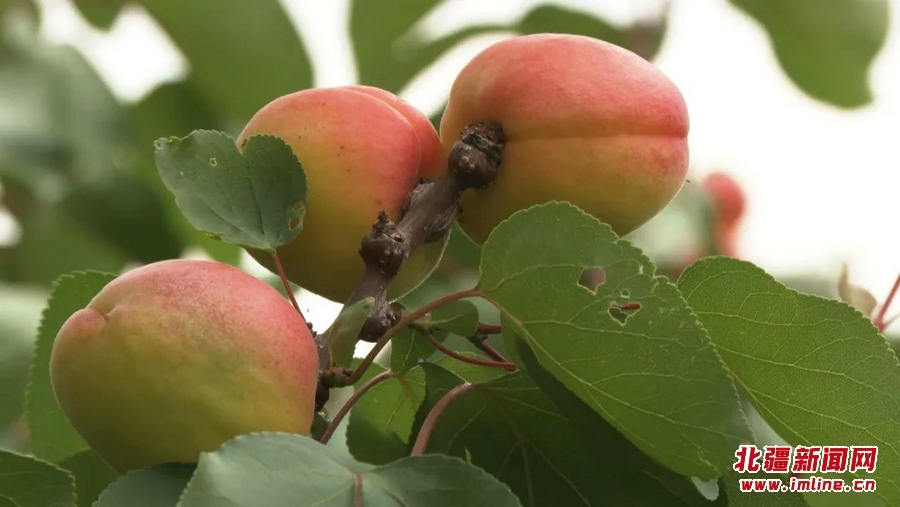 1657186906968989.jpg 微信圖片_20220707173629.jpg