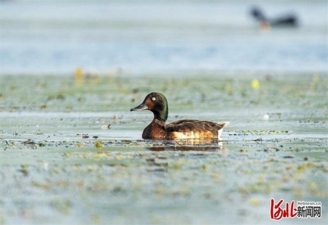 1660028571110716.jpg W020220808548513360806.jpg