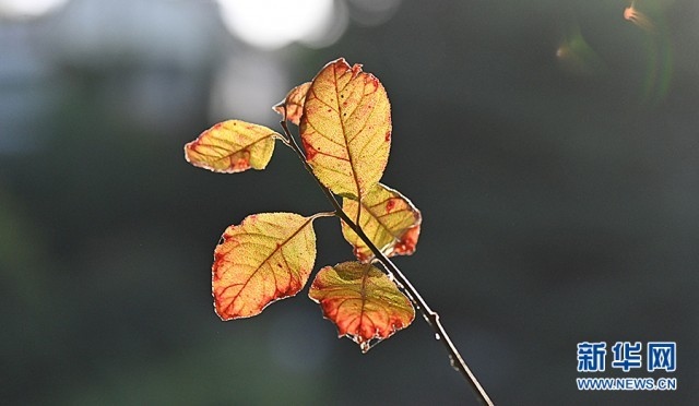 1662607683888089.jpg 00300584751_7e2e2db8.jpg