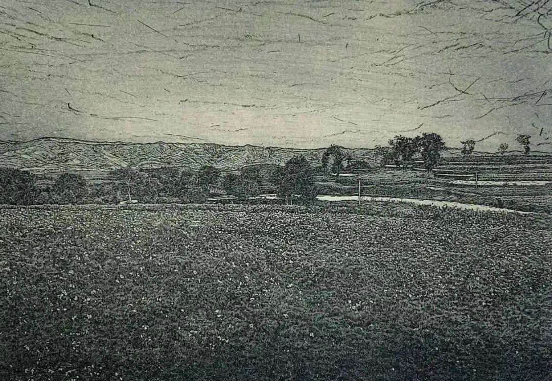 1682435531110862.jpg 21.jpg