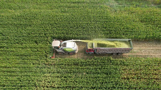 1695024618871522.jpg 5.jpg