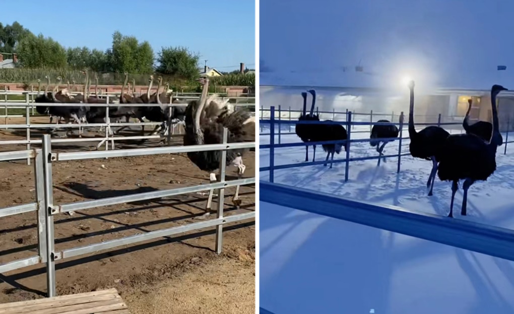 1714128965973895.png 圖片4.png