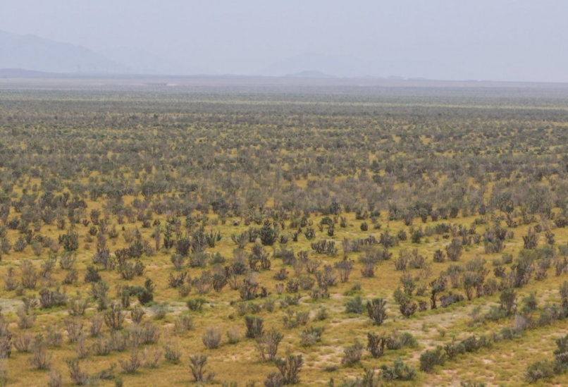 1757776432135636.png 圖片14.png