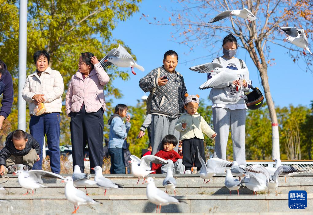 1762137021569310.jpg _DSC3231.jpg