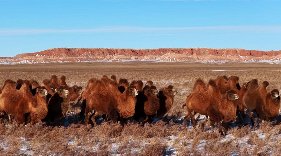 1768812921337799.png 001.png