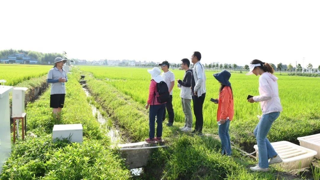 △云南大理古生村科技小院成員在田間調(diào)查。