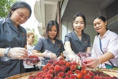 志愿者和村民一起將摘下的楊梅裝進(jìn)食品盒里。