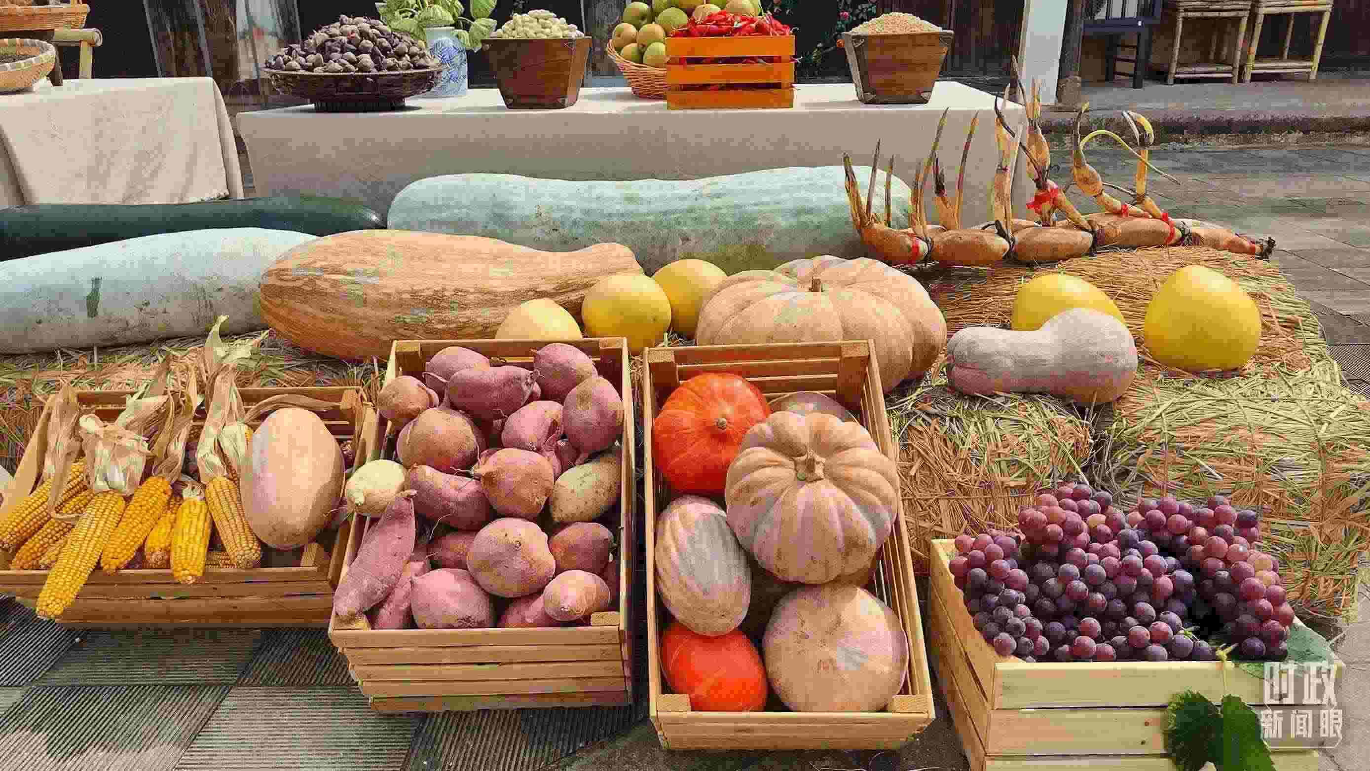 △村廣場(chǎng)“共富市集”，擺放著種類豐富的特色農(nóng)產(chǎn)品。（總臺(tái)央視記者楊立峰拍攝）