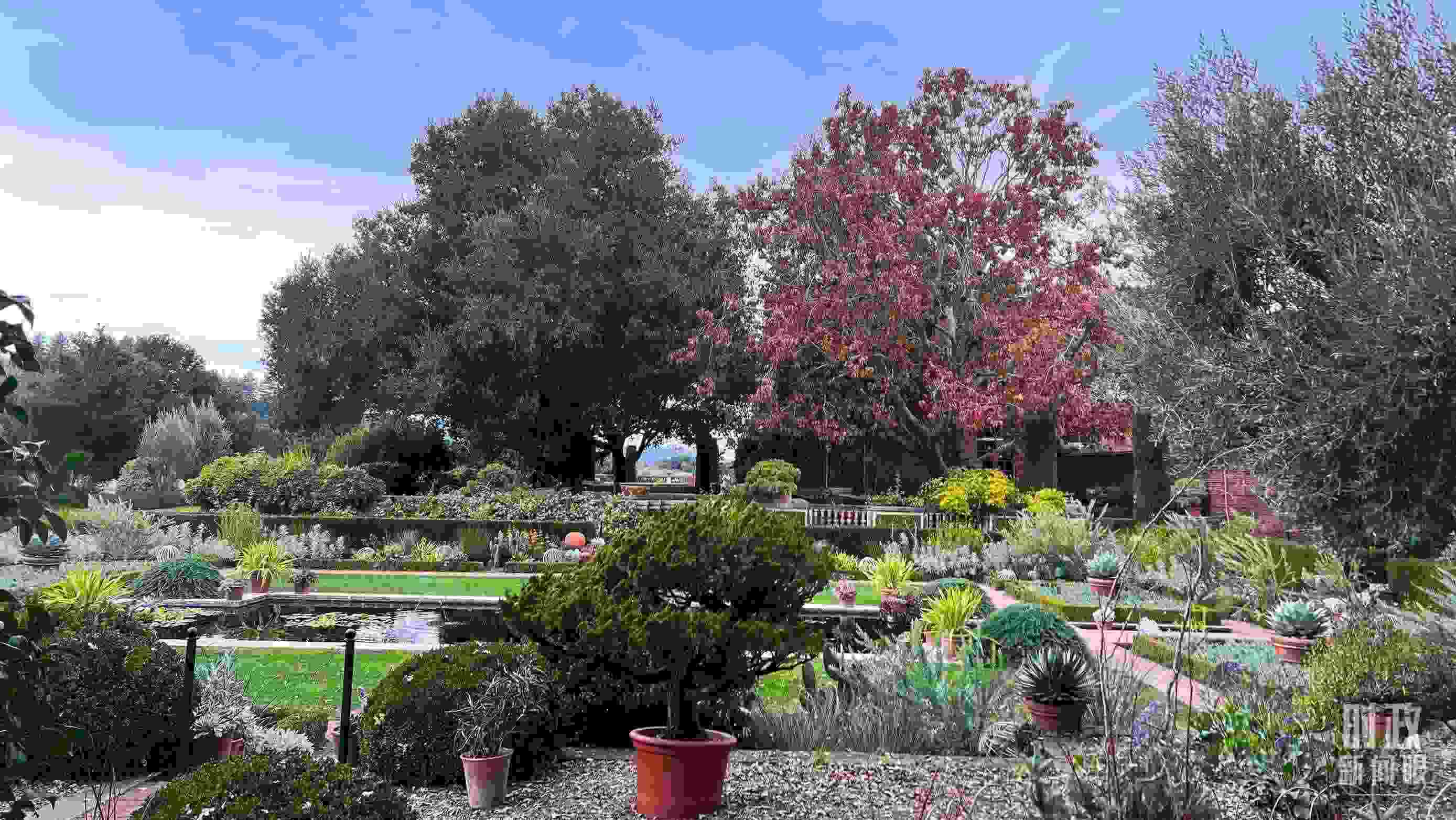 斐洛里莊園被稱作美國(guó)20世紀(jì)現(xiàn)存最精美鄉(xiāng)村莊園之一。(總臺(tái)央視記者程鋮拍攝)