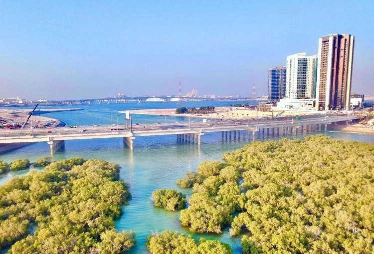 圖為瑞姆橋施工現(xiàn)場(chǎng)。中國(guó)土木供圖